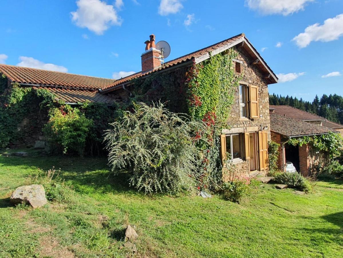 Eco-Gite Cottage Panoramique, Terrasses, Baby Foot, 150 M2 Renove Et Agrandi En 2024, Activites Proposees Champagnac-le-Vieux Esterno foto